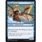 Kitesail Corsair