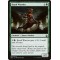 Kraul Warrior