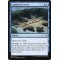 Coastal Discovery