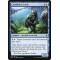 Coralhelm Guide