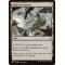 Blighted Cataract