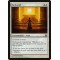 Sunbond