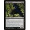 Shrike Harpy