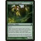 Graverobber Spider