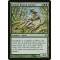 Forked-Branch Garami