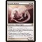 Eternal Dragon