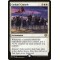 Cathars' Crusade