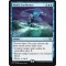Mystic Confluence
