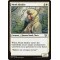 Monk Idealist