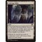Evolving Wilds