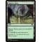 Slippery Karst