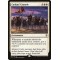 Cathars' Crusade