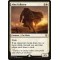 Alms Collector