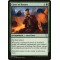 Curse of Bounty