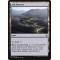 Ash Barrens