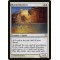 Harsh Deceiver