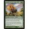 Kodama of the South Tree