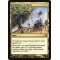 Forbidden Orchard