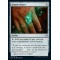 Arcane Signet
