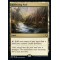 Reflecting Pool