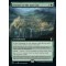 Journey to the Lost City