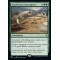 Sandwurm Convergence