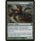 Hydra Omnivore