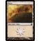 Plains