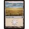 Plains