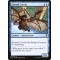 Kitesail Corsair