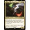 Averna, the Chaos Bloom