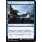 Whelming Wave