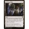 Evolving Wilds
