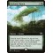 Kodama's Reach