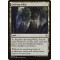 Evolving Wilds