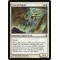 Custodi Squire