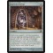 Coercive Portal