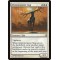 Glimmerpoint Stag