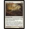 Silverchase Fox