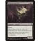 Liliana's Specter