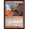 Skitter of Lizards