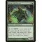 Elvish Aberration
