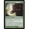 Wolfbriar Elemental