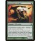 Scattershot Archer
