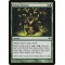 Sylvan Bounty