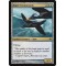 Esper Cormorants
