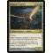 Magister Sphinx