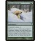 Hibernation's End