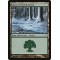 Snow-Covered Forest