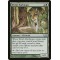 Elvish Harbinger